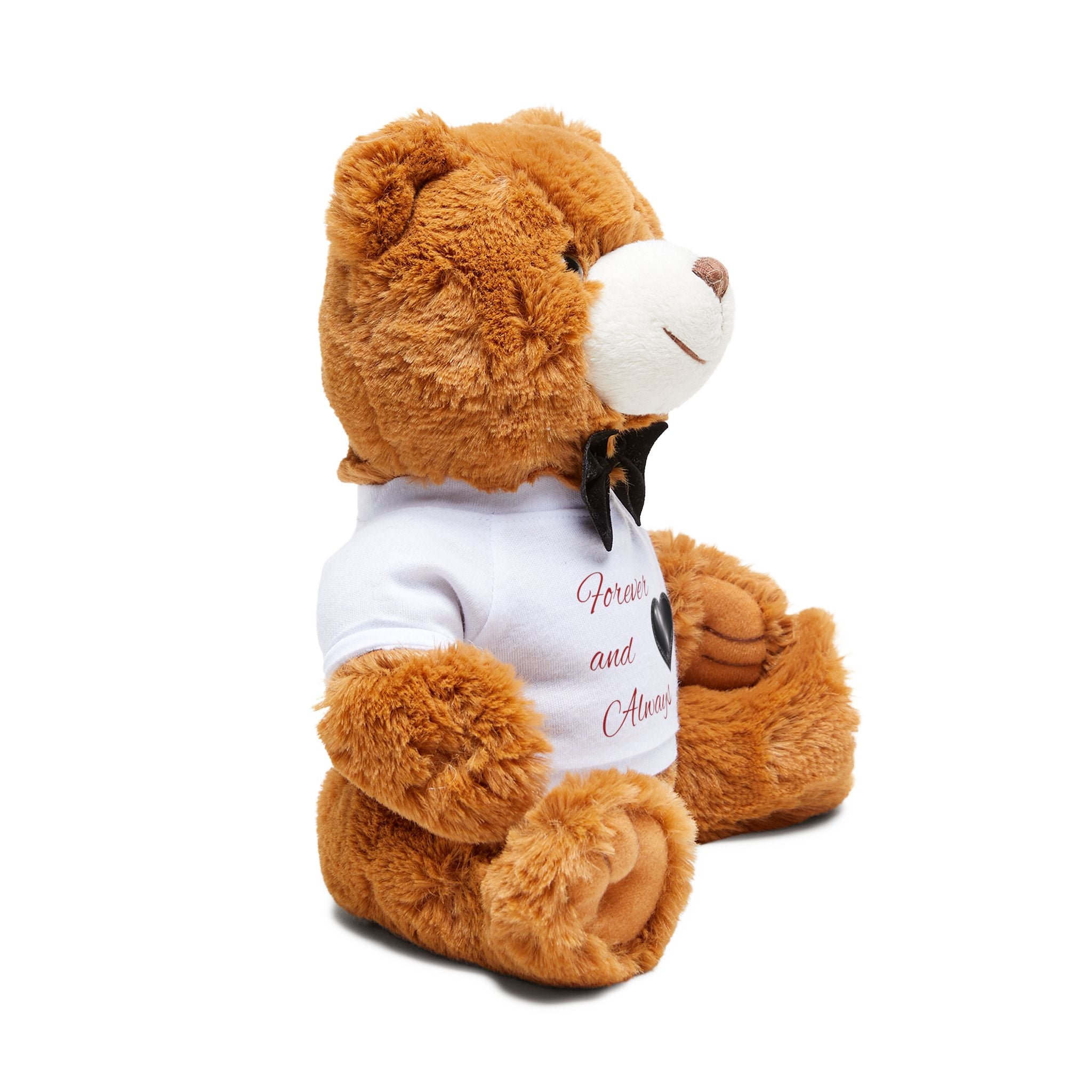 Forever and Always Teddy Bear - Personalized Plush Bear with T-Shirt